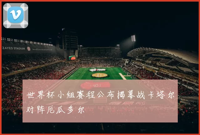 世界杯小组赛程公布揭幕战卡塔尔对阵厄瓜多尔